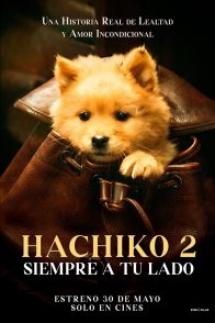 HACHIKO 2