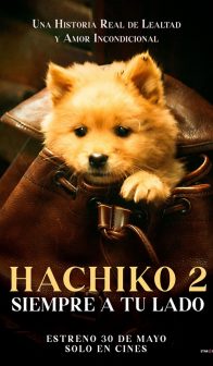 HACHIKO 2
