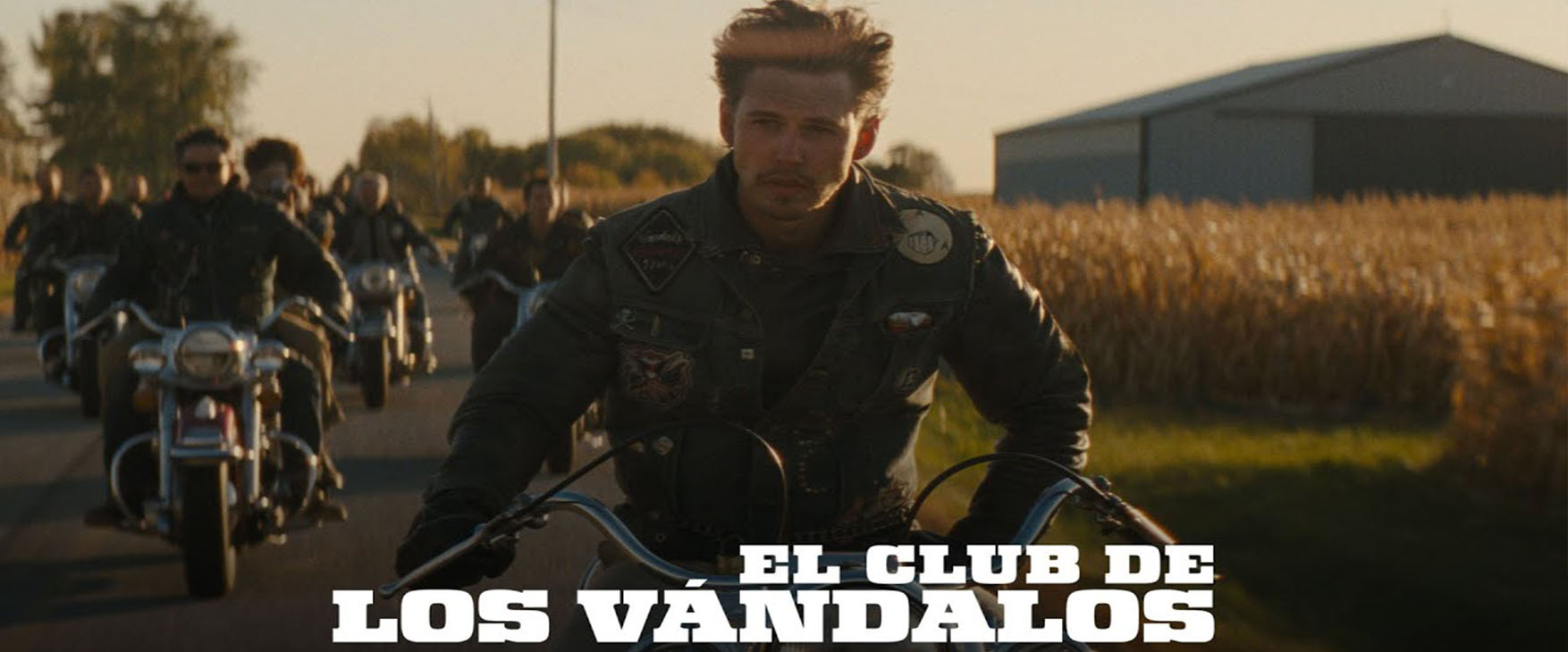 EL CLUB DE LOS VÁNDALOS