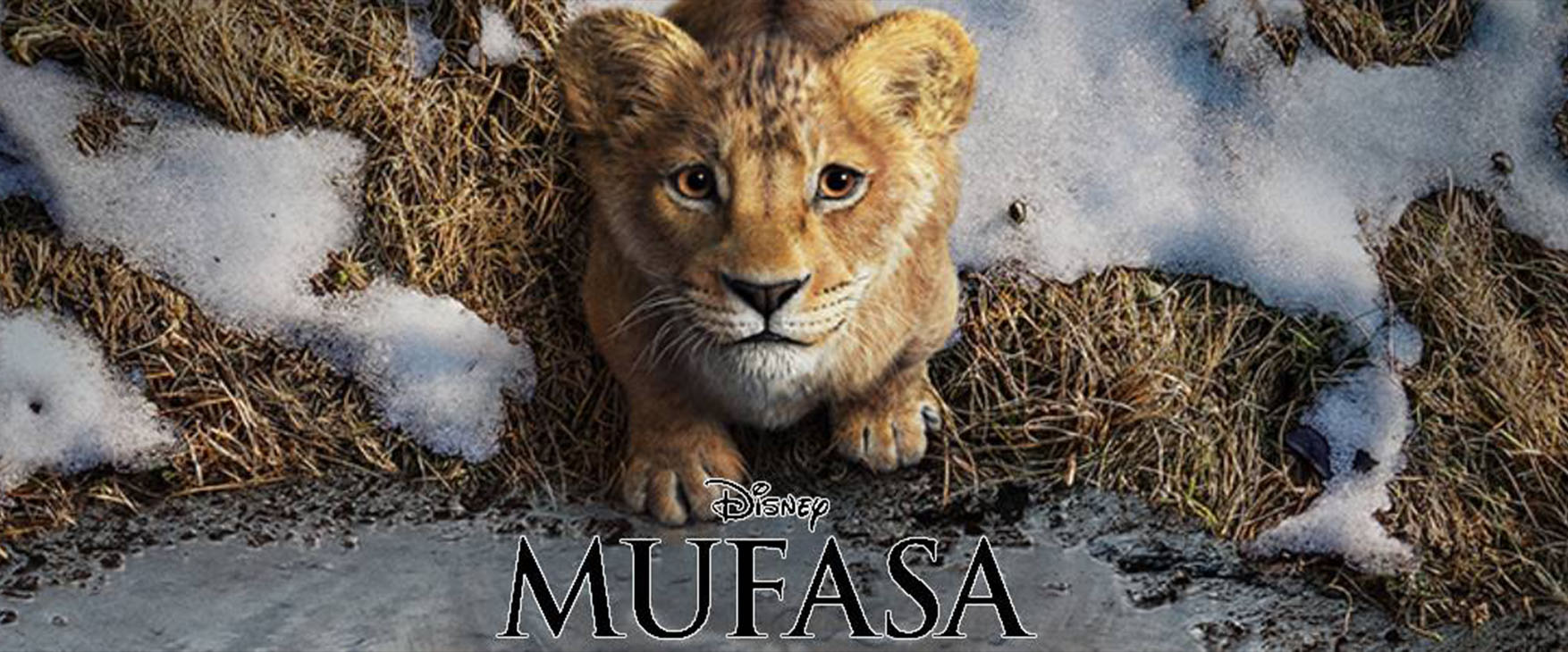 MUFASA