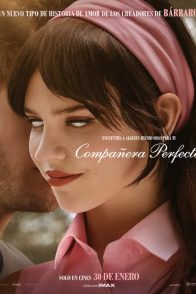 COMPAÑERA PERFECTA
