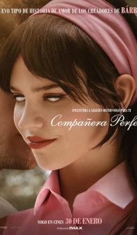 COMPAÑERA PERFECTA